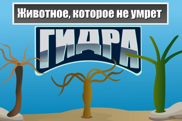 Кракен маркет что это