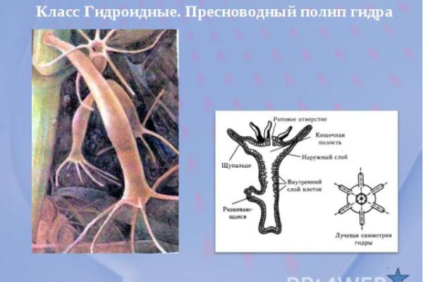 Кракен шоп даркнет